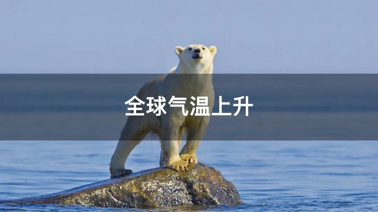 螞蟻商聯(lián)攜手金好來(lái)超市發(fā)起“以竹代木，翠我山河”植樹(shù)節(jié)活動(dòng)，從改變生活習(xí)慣開(kāi)始！喊你為公益接力~